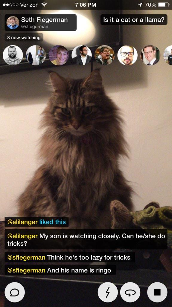 Meerkat app